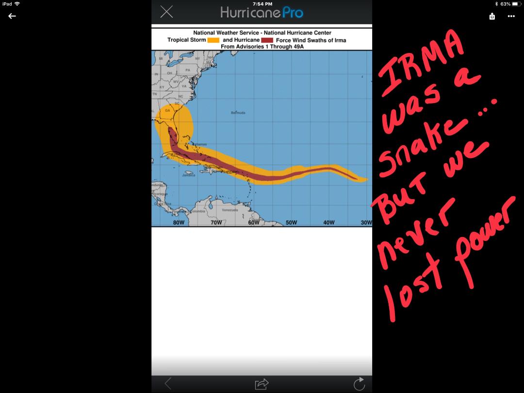 IRMA SNAKE