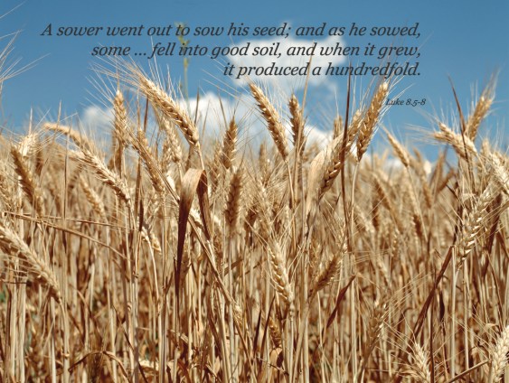 a bible poster 3 harvest.jpg