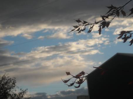 our house in Denton.jpg